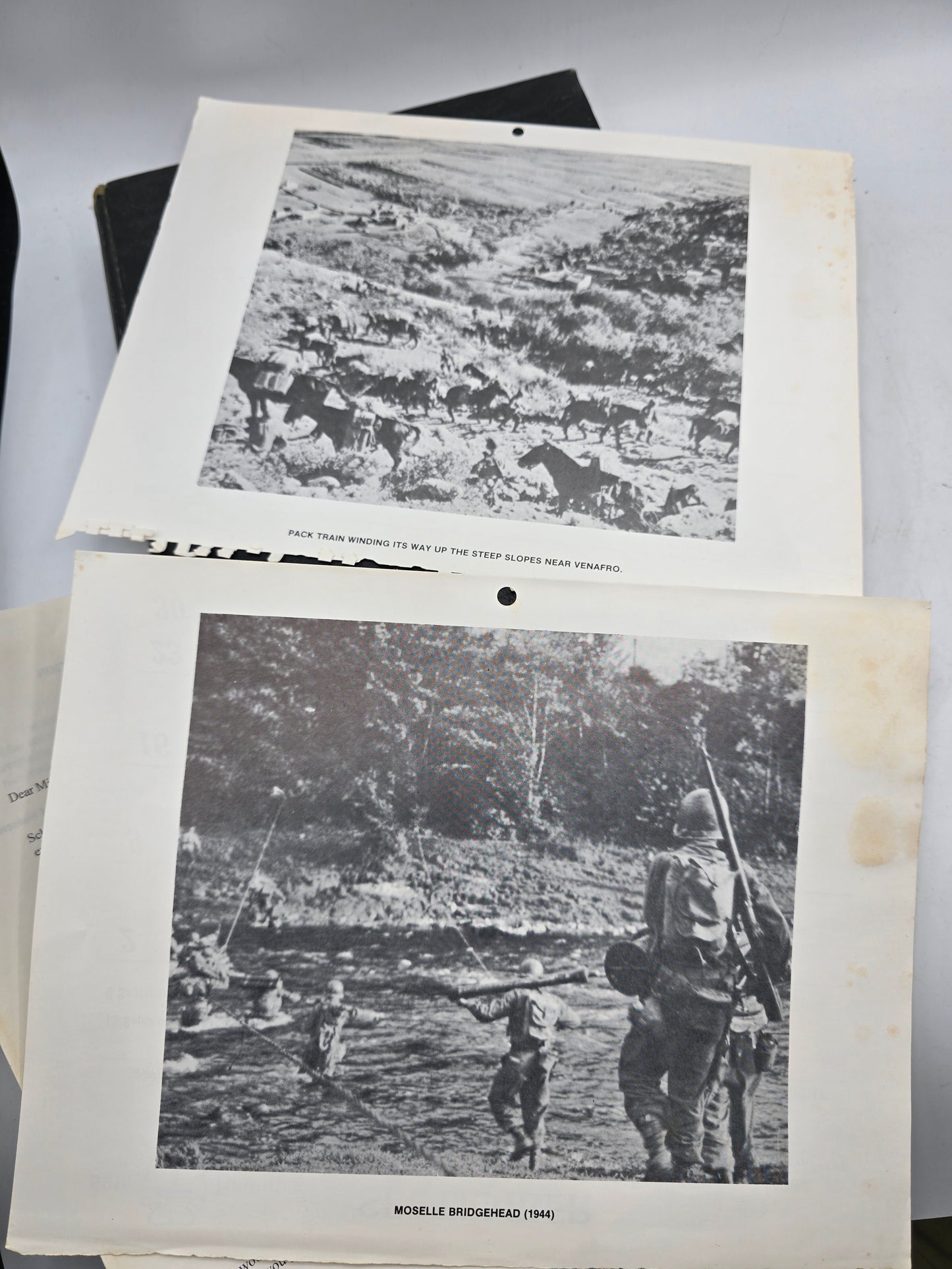 History Books 36th ID US The Fighting 36th original  livre Texas Division