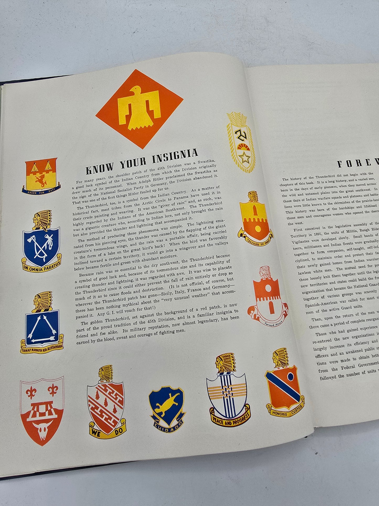 Livre 45th Infantry Division 1ère édition de 1946